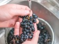grape-jam-1
